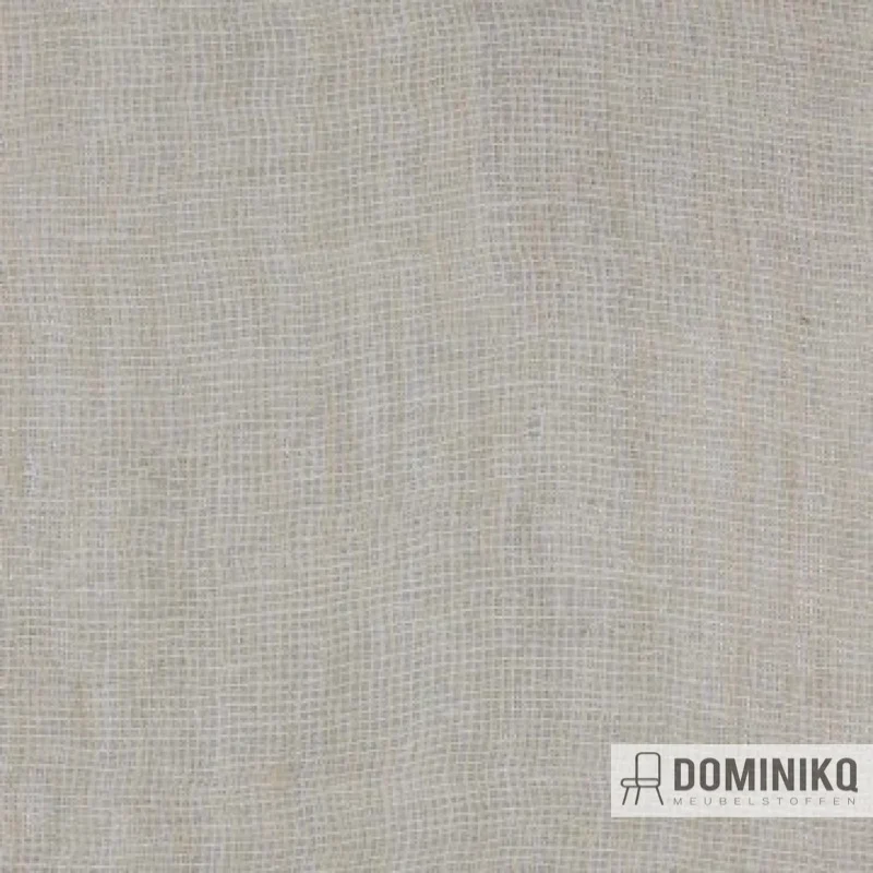 Aristide - Blink - 215 Champagnes