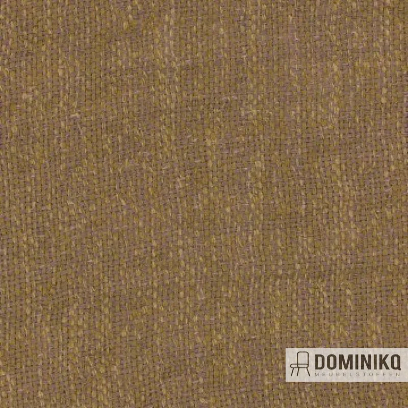 Aristide - Demi à 765 Olive