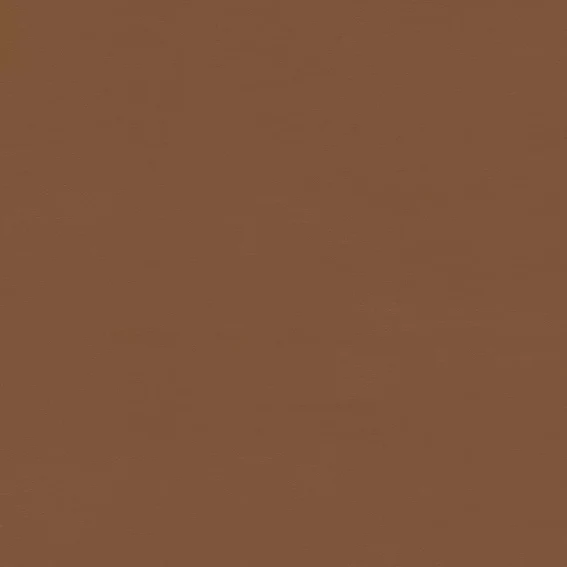 Aristide - Fine - 225 Noisette