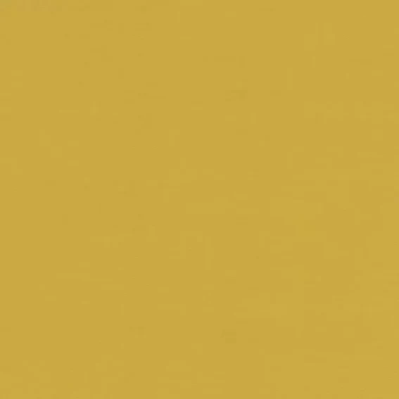 Aristide - Fine - 310 Bouton d'Or