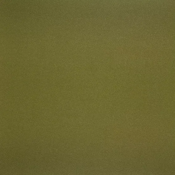 Aristide - Galucha - 10 citron vert
