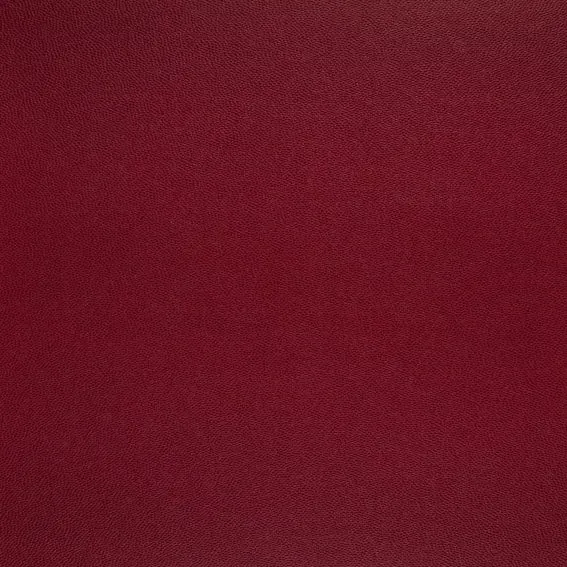 Aristide - Galucha - 12e édition