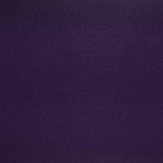 Aristide - Galucha - 11 Violet