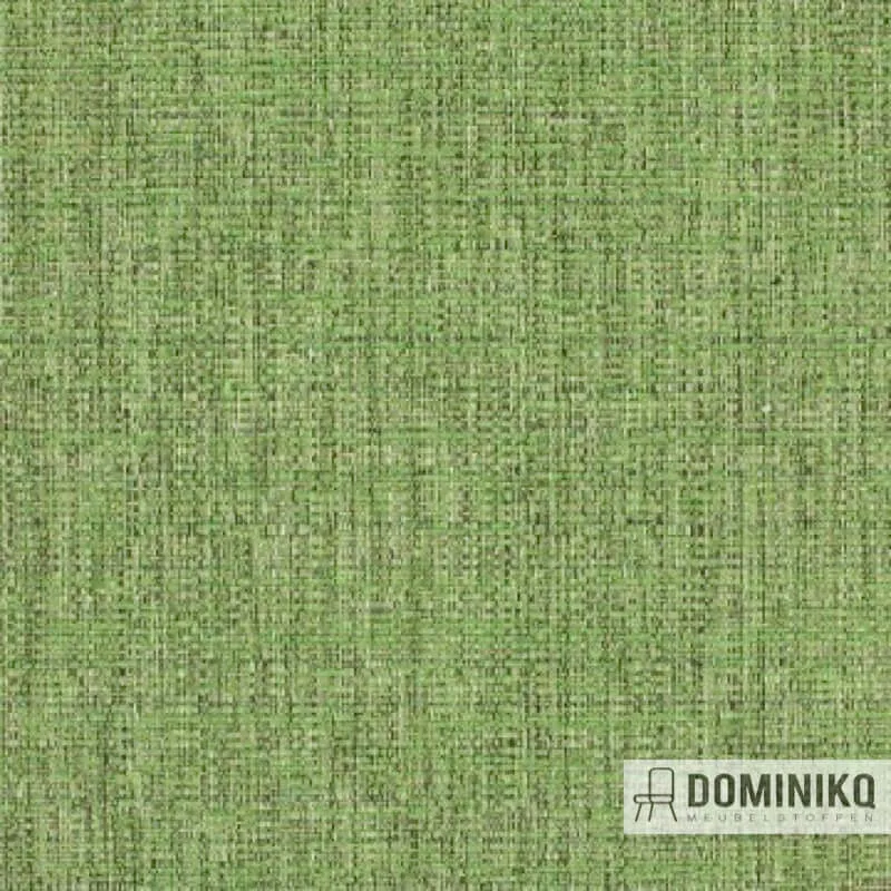 Aristide - Hulk - 770 Pois de Senteur