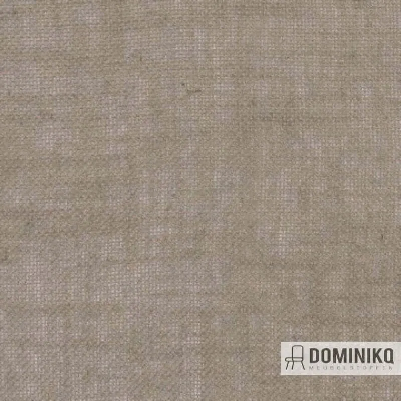 Aristide - Hunky Dory à 765 Olive