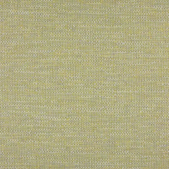 Aristide - John - 310 Bouton d'Or