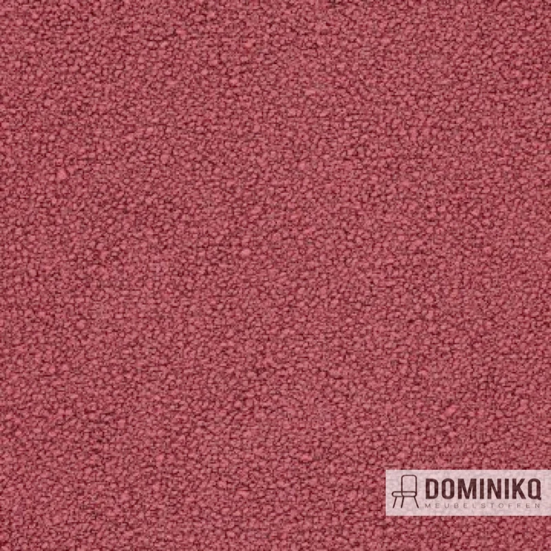 Aristide - Bobby - 580 Prune