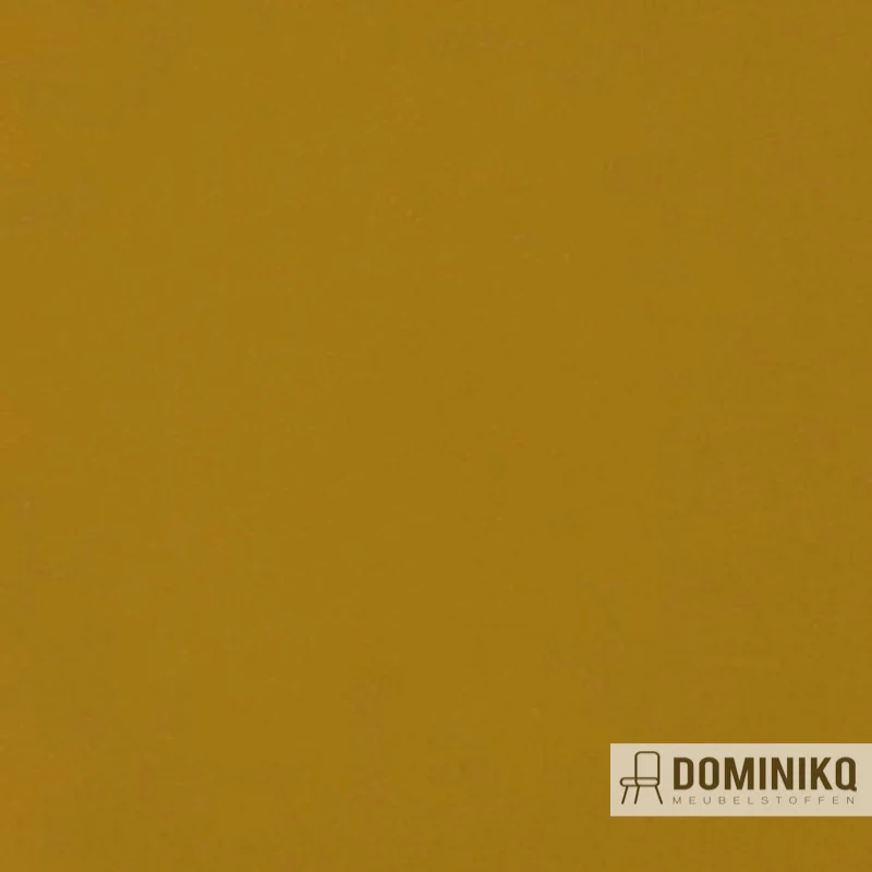 Aristide - Buck - 330 Gold