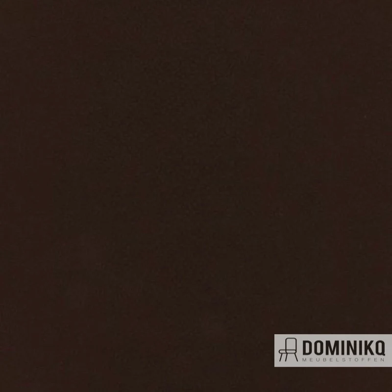 Aristide - Buck - 270 Chocolat