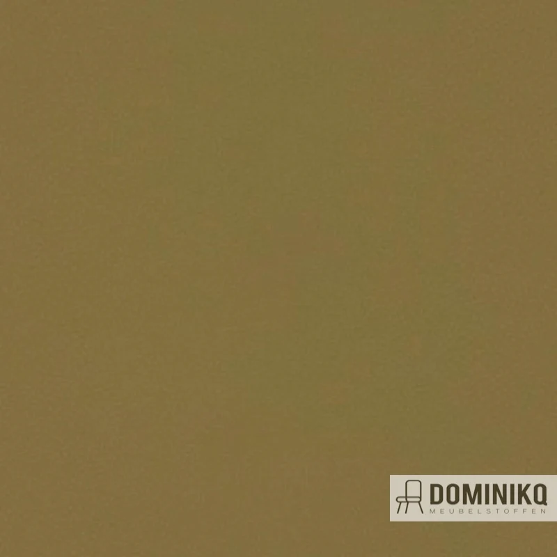 Aristide - Buck à 765 Olive