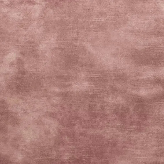 Aristide - Markle - 500 poussières de roses