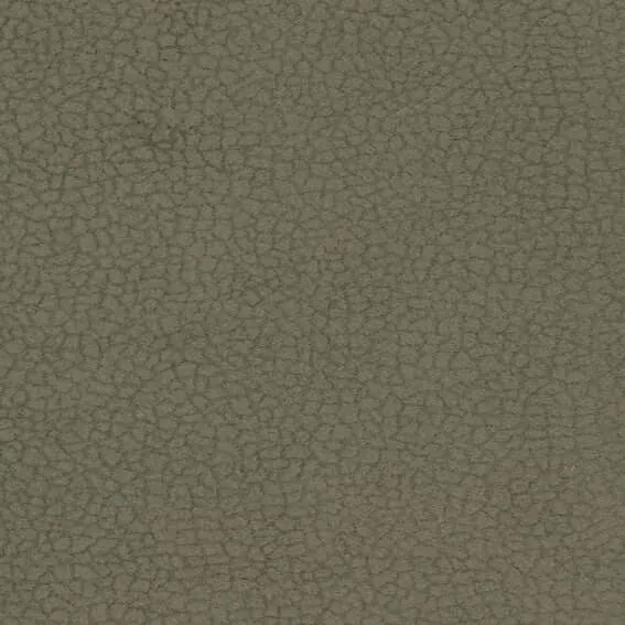 Aristide - Miles à 765 Olive