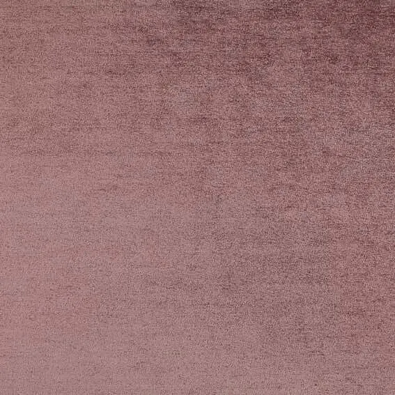 Aristide - Napoléon - 509 Rose Ancienne
