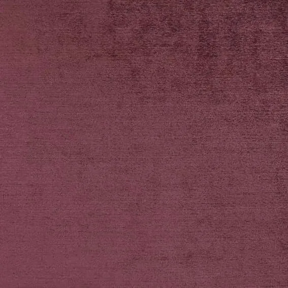 Aristide - Napoléon - 500 Poussière de Rose