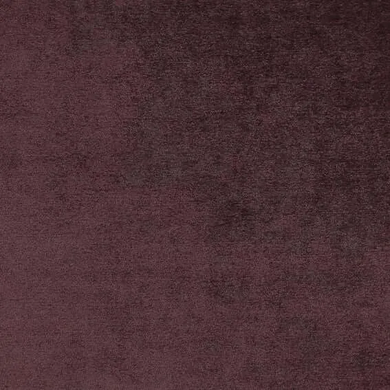Aristide - Napoléon - 590 Aubergine