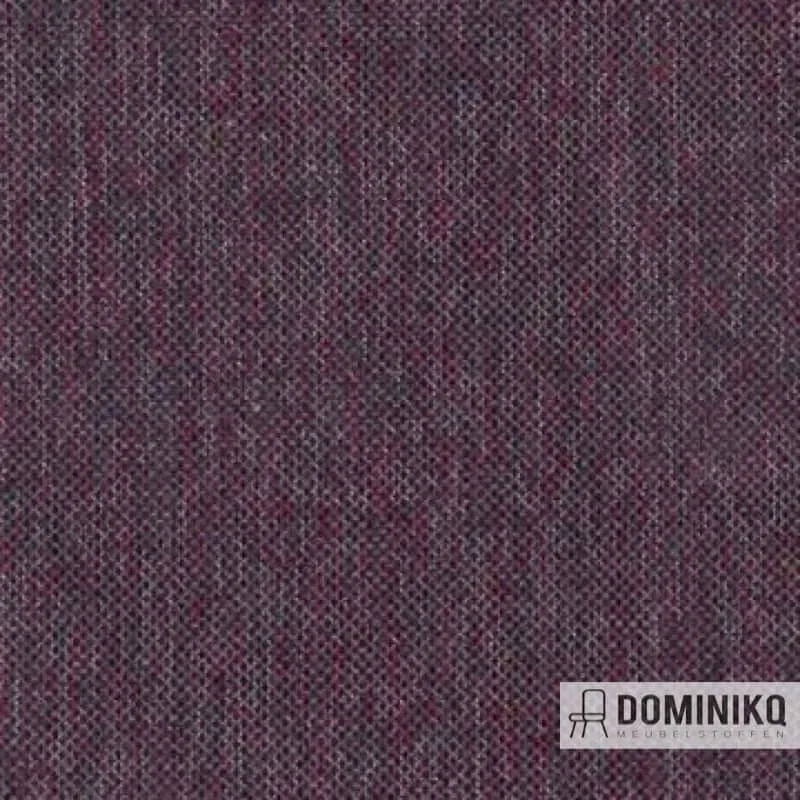 Aristide - Louis - 570 Amethyste