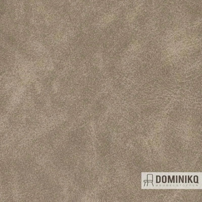 Aristide - Outdoor Miel - 215 Champagne