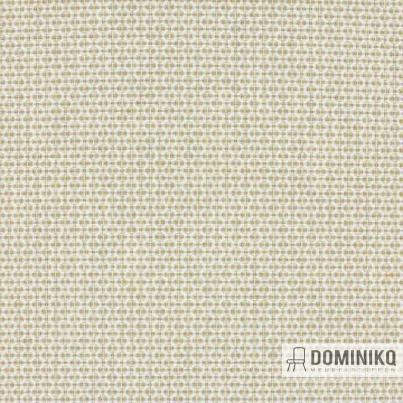 Aristide - Outdoor Yavia - 310 Bouton d'Or