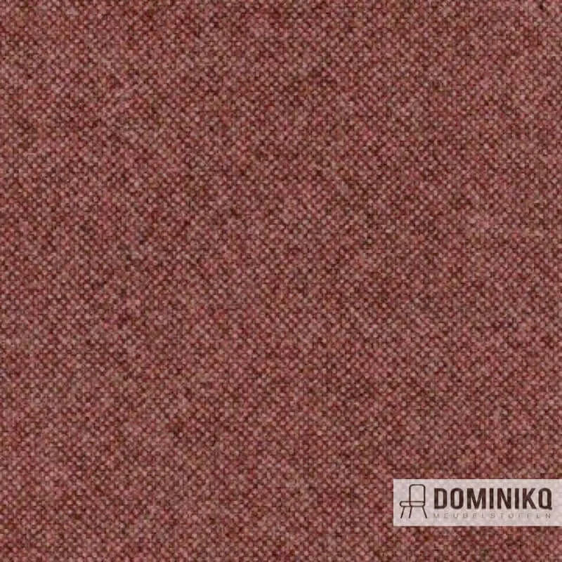 Aristide - Qashqai - 500 Poussière de Rose