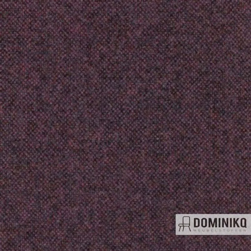 Aristide - Qashqaï - 570 Amethyste