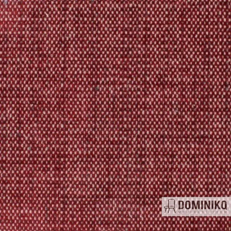 Aristide - Robin - 545 Rubis