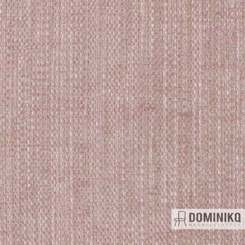 Aristide - Robin - 500 Poussière de Rose