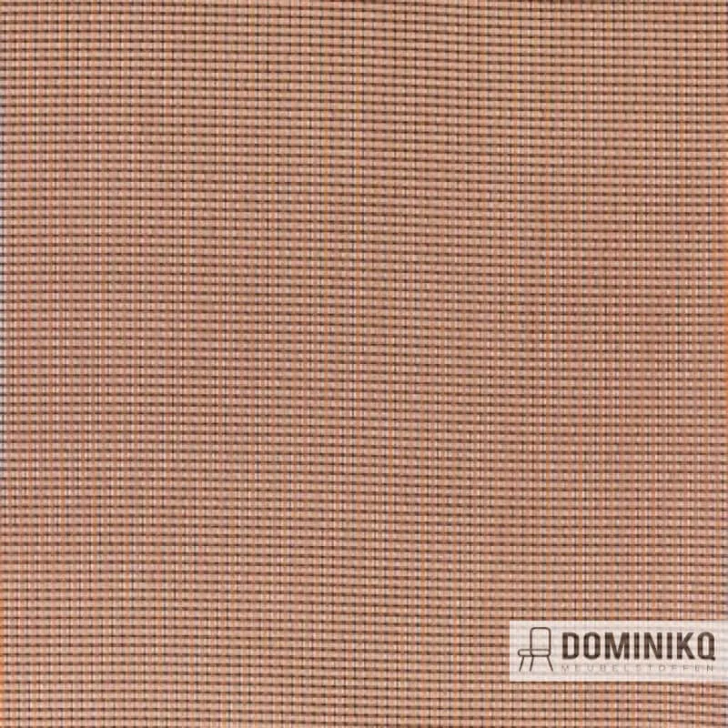 Aristide - Sara - 390 Sienne