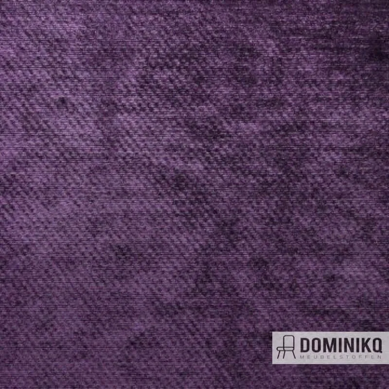 Aristide - Troy à 35 Amethyste