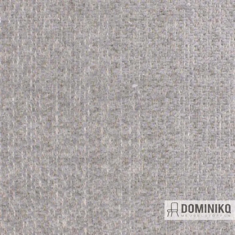Aristide - William - 110 Colombe