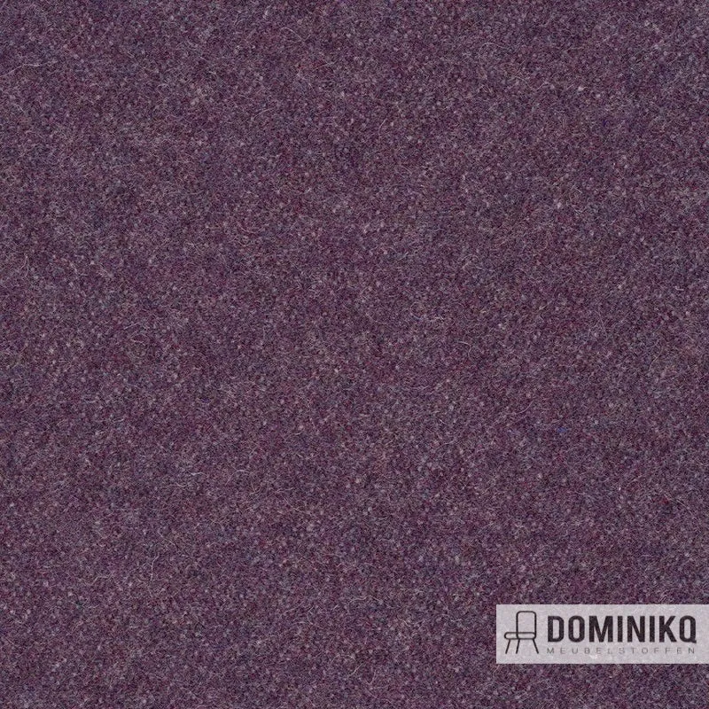 Bute Fabrics - Magic CF1105 - 0421 Sort*