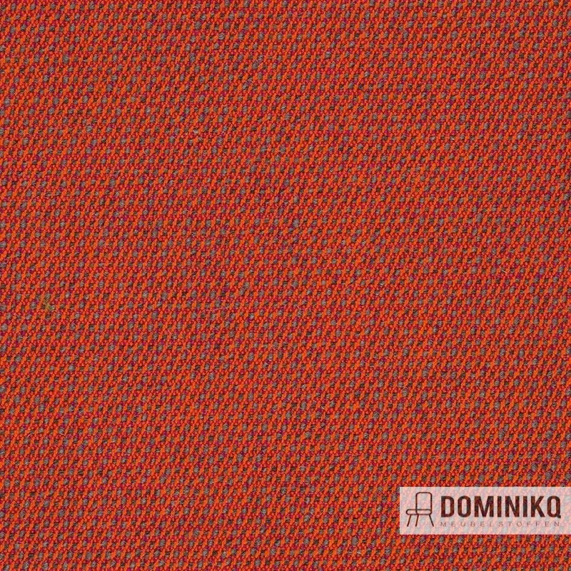 Bute Fabrics - Mercury CF1053 - 1211 Rhapsodie