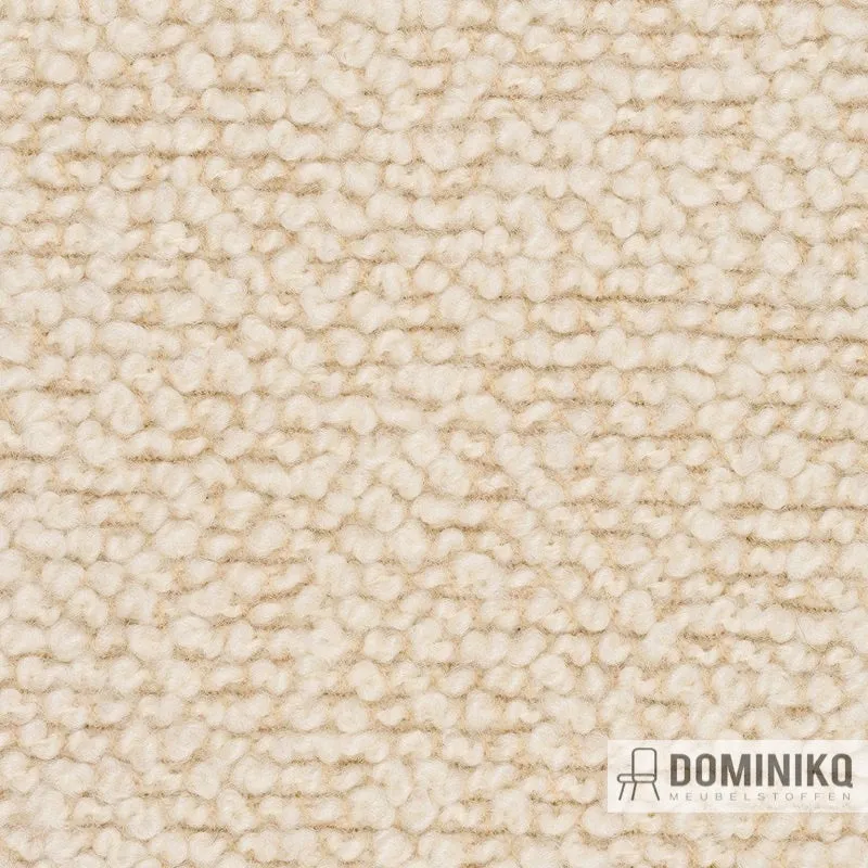 Bute Fabrics - Storr CF774 - 1501 Coquille d'oeuf