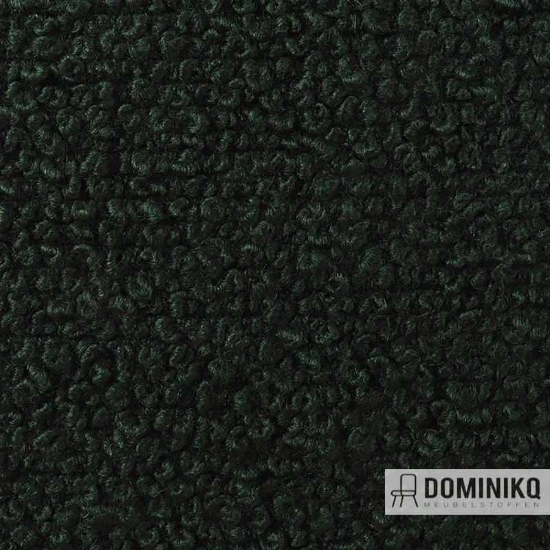 Bute Fabrics - Storr CF774 - 8003 Houx