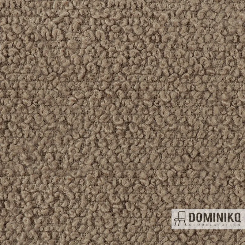 Bute Fabrics - Storr CF774 - 8006 Naturel