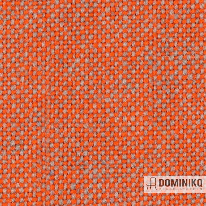 Bute Fabrics - Tweed CF740 - 1438 Fiz Wiz