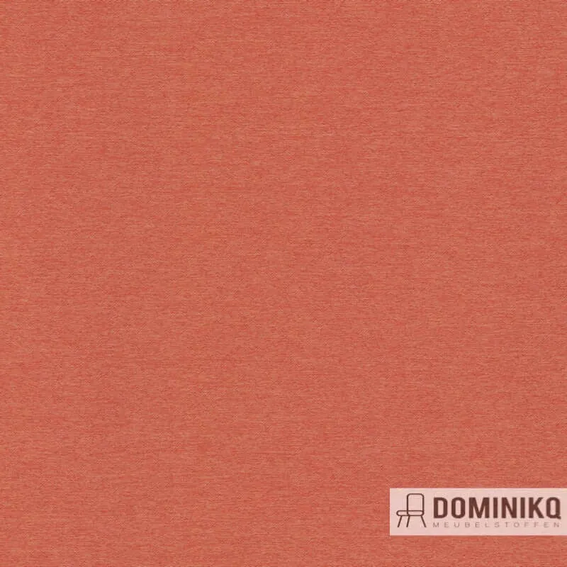 De Ploeg - Solid à 11