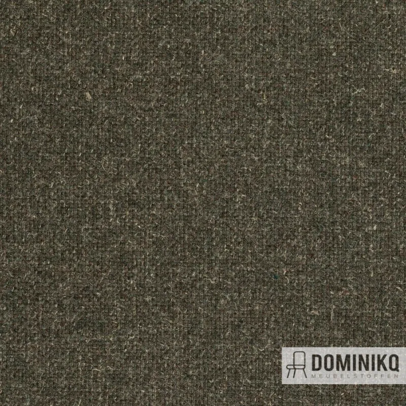 Fabraa- Forward - 156 - Chasseur