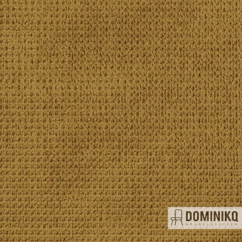 Fabraa- Regain - 23 - Ocre
