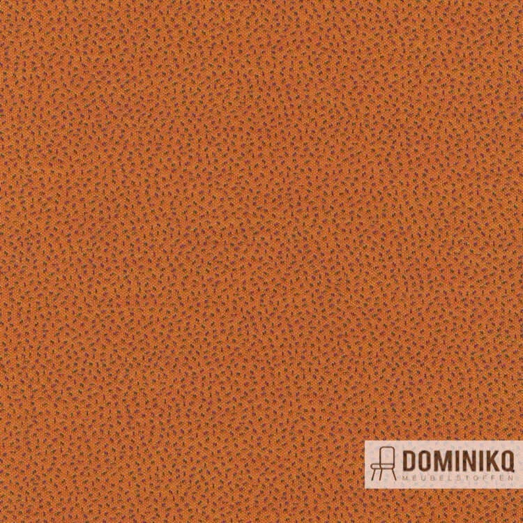 Kvadrat - Febrik - Sprinkles à 554