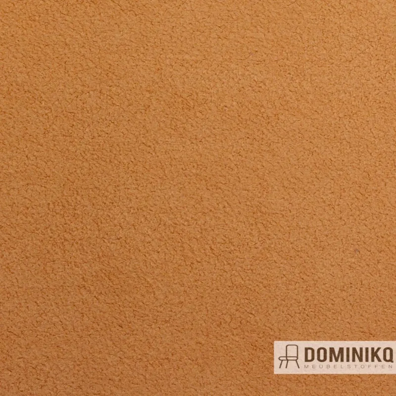 Vyva Fabrics - Dinamica - 9173 - Oignon