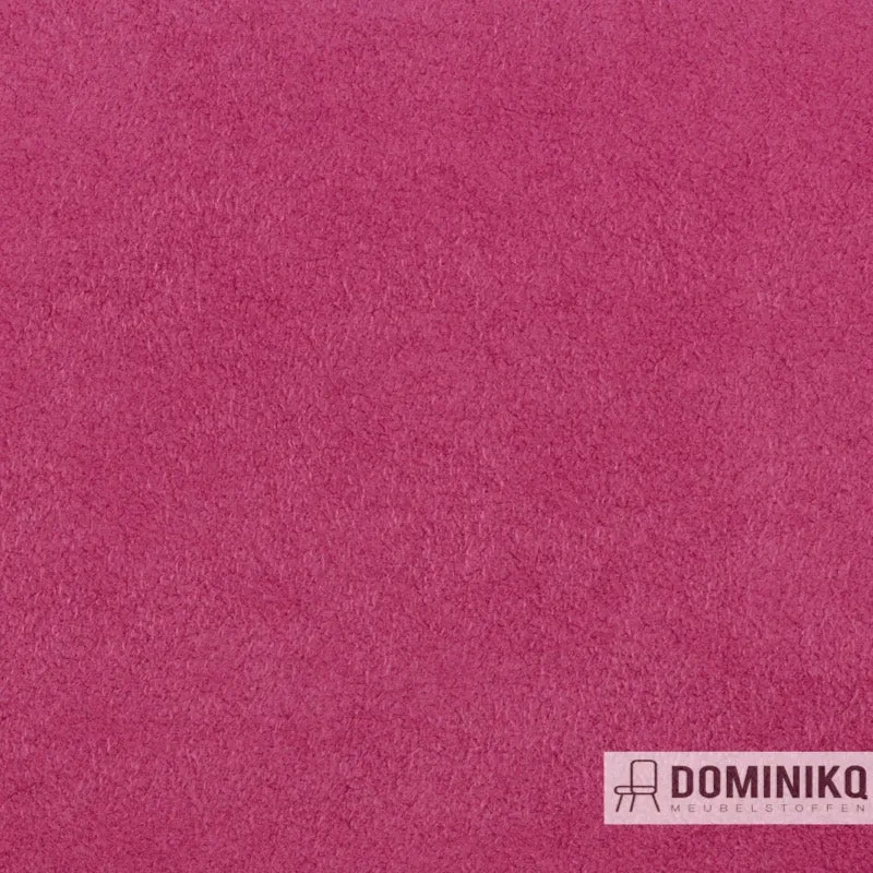 Vyva Fabrics - Dinamica - 9149 - Roses