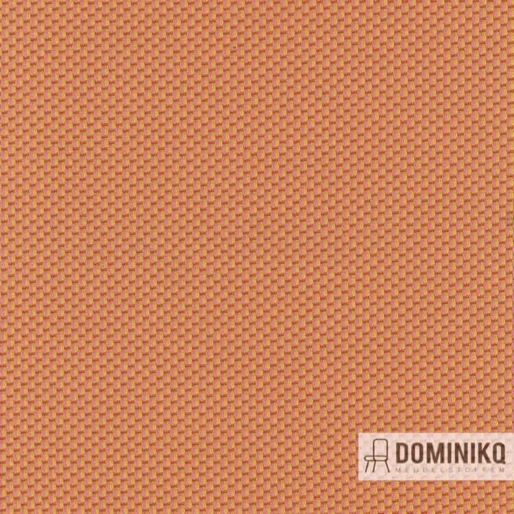 Kvadrat - Febrik - Drop à 441