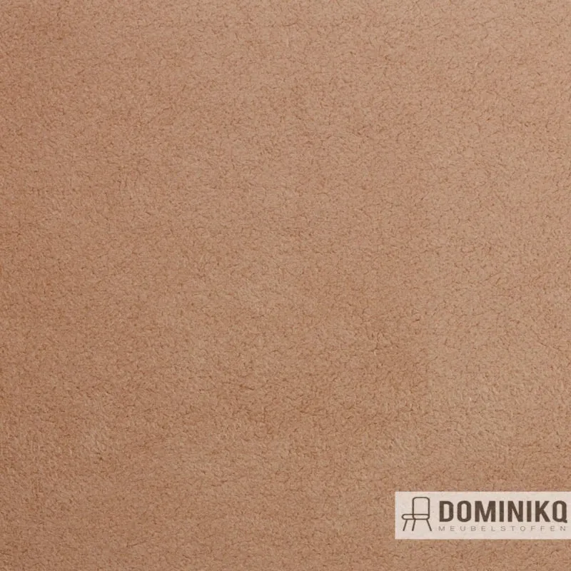 Vyva Fabrics - Dinamica - 9079 - Callot Rose