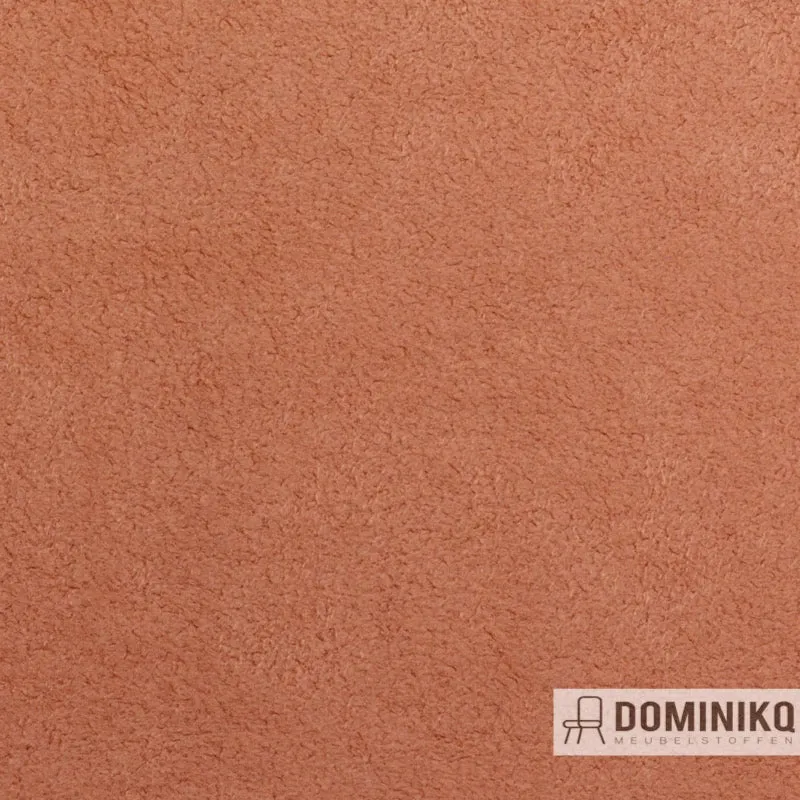 Vyva Fabrics - Dinamica - 1035 - Abricot