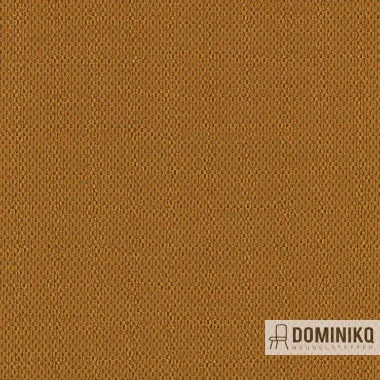 Kvadrat - Febrik - Plecto à 444