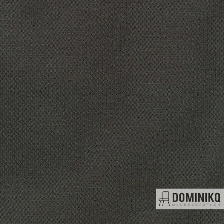 Kvadrat - Febrik - Plecto à 284