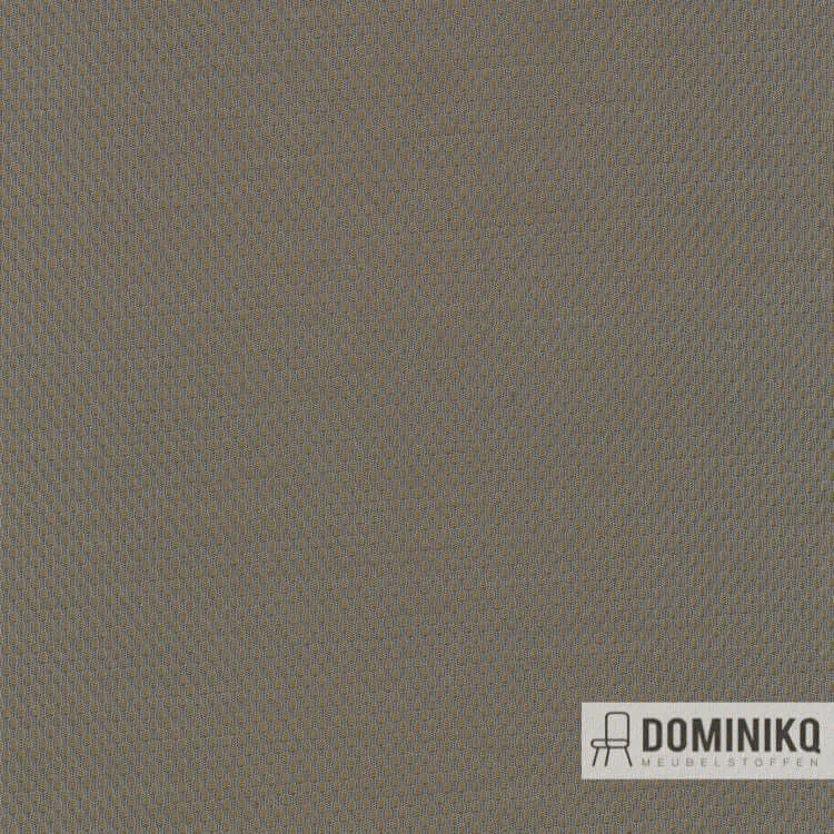 Kvadrat - Febrik - Plecto à 244