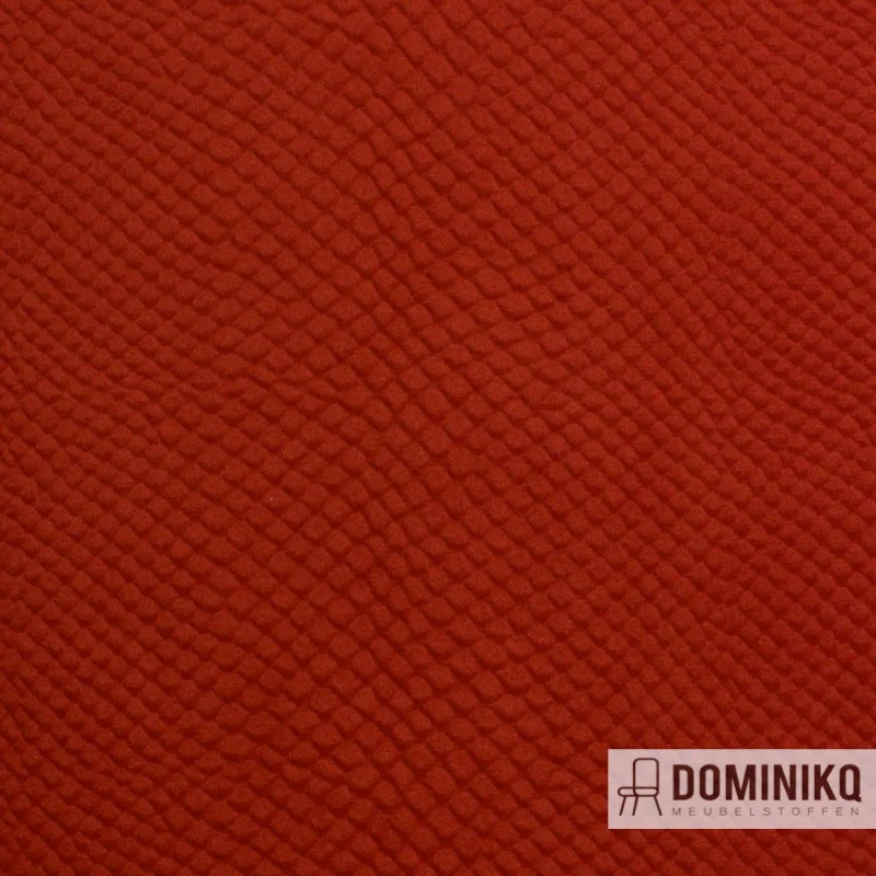 Vyva Fabrics - Glade Stamp - 3470 - Orange sanguine