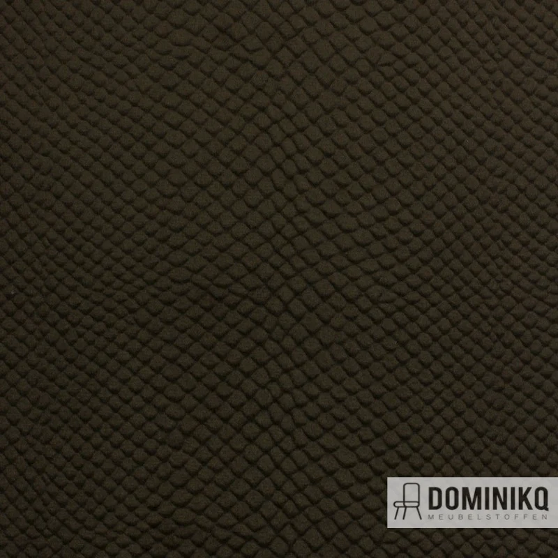 Vyva Fabrics - Glade Stamp - 3474 - Noix de muscade