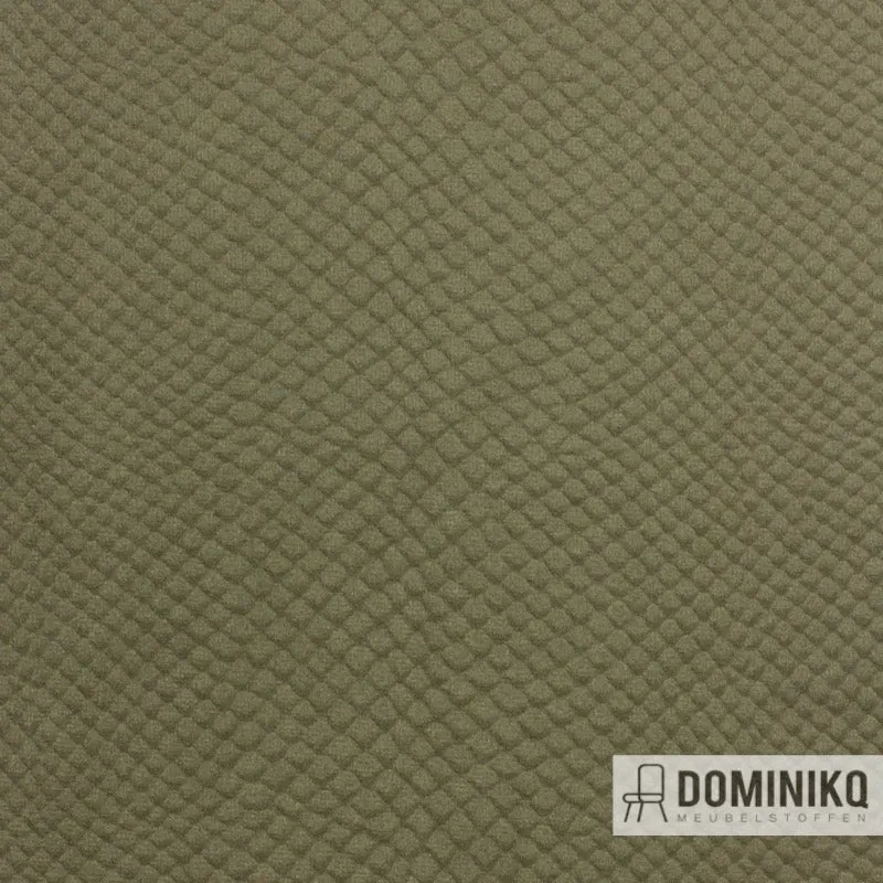Vyva Fabrics - Glade Stamp - 3472 - Haie